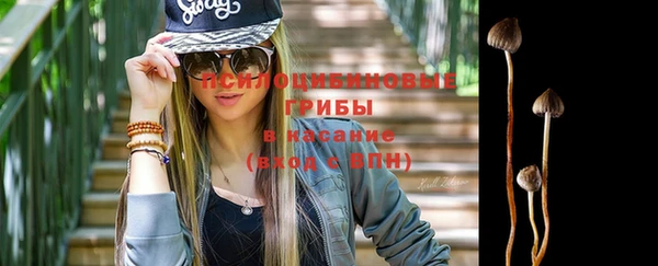 сатива Алзамай