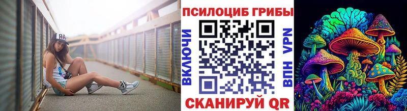 цена Талица Псилоцибиновые грибы GOLDEN TEACHER