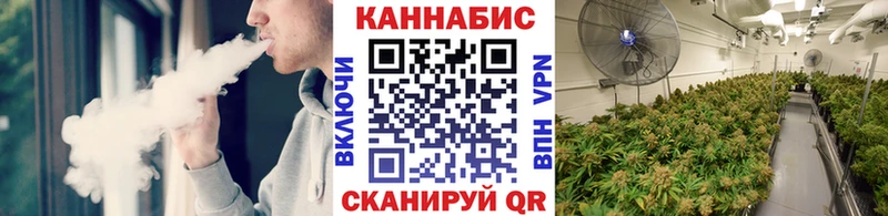 Канабис OG Kush Талица